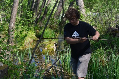 provjera zamki u poplavnoj šumi / checking the traps in the floodplain forest